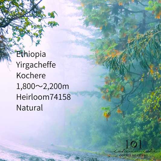 【Ethiopia】Yirgacheffe Kochere Jemal Abdela Natural 【200g】
