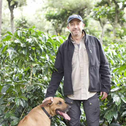 【Guatemala】Chimalatenango La Merced Washed【200g】