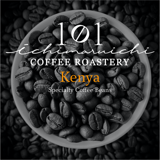 【Kenya】Nyeri Thunguri AB Washed 【200g】