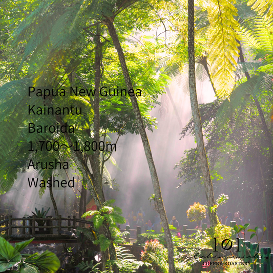 【Papua New Guinea】Kainantu Baroida Washed 【200g】