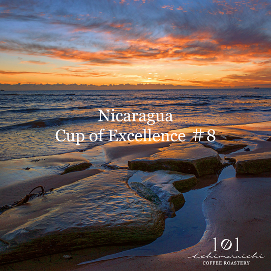 【Nicaragua】Cup of Excellence #8【100g】(2025年10月販売予定入荷待ち)