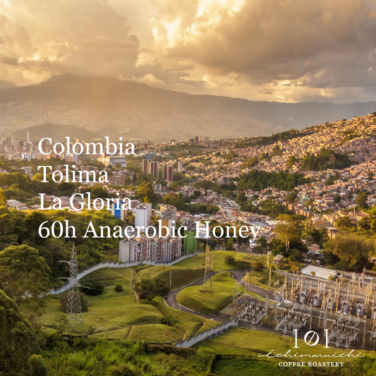 【Colombia】Tolima La Gloria 60h Anaerobic Honey【100g】