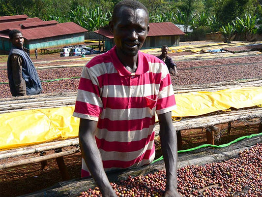 【Ethiopia】Yirgacheffe Chelbesa Natural 【200g】