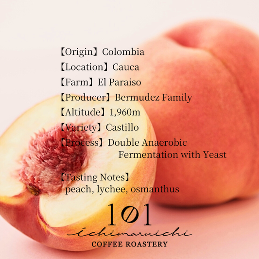 【Colombia】Cauca El Paraiso Double Anaerobic Washed【100g】