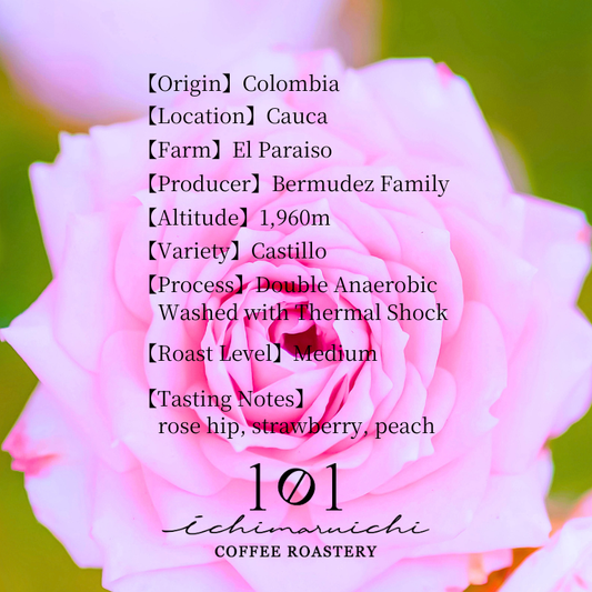 【Colombia】Cauca El Paraiso Double Anaerobic Washed / Rose【100g】