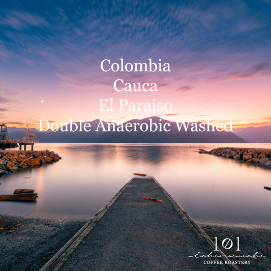【Colombia】Cauca El Paraiso Double Anaerobic Washed【100g】