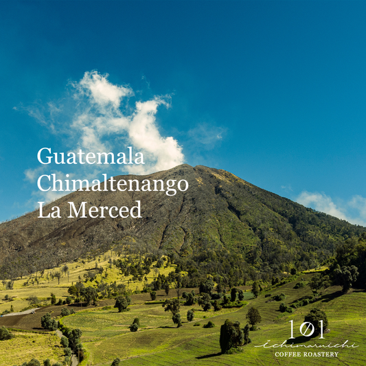 【Guatemala】Chimalatenango La Merced Washed【200g】