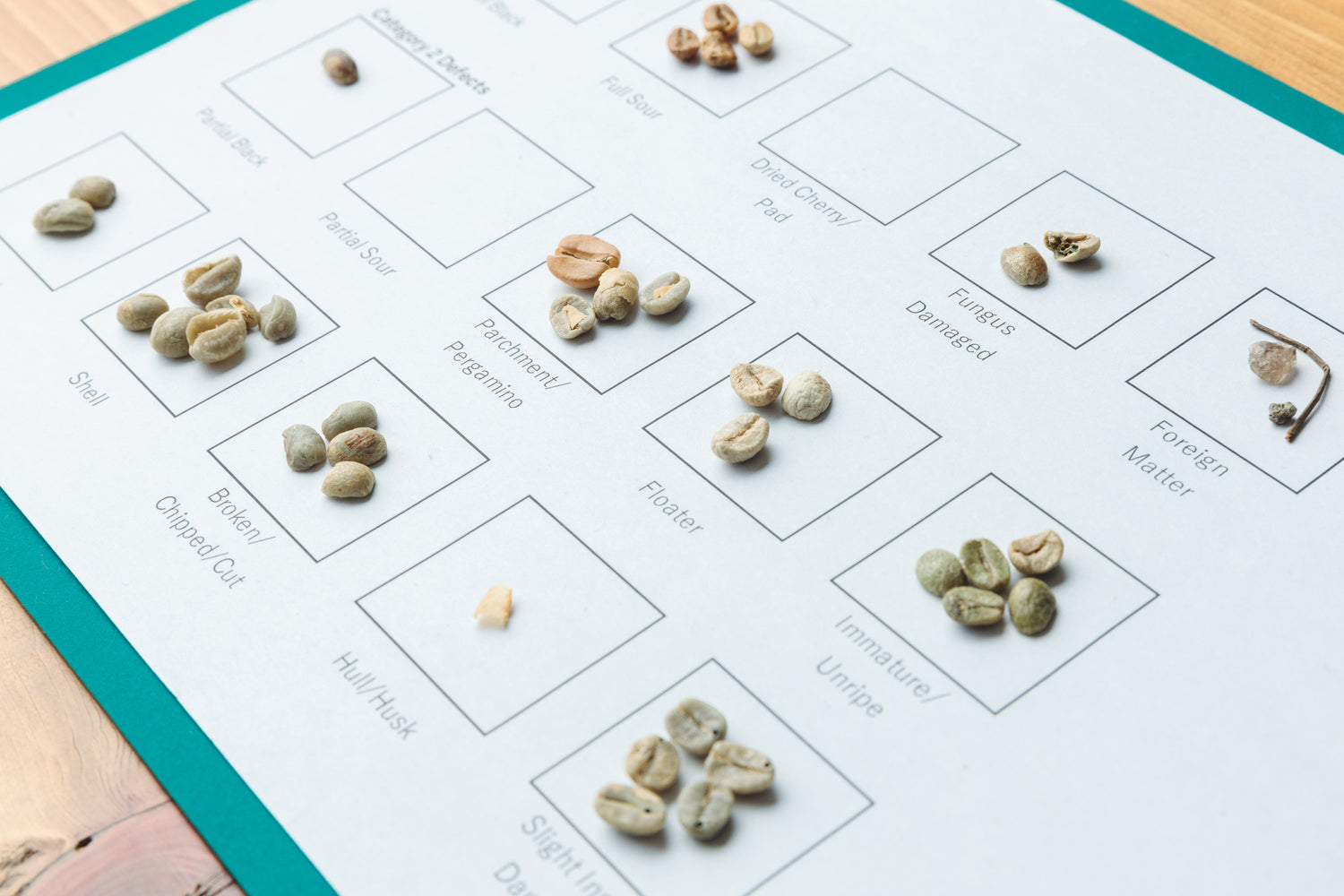 Green Gradingとは、焙煎前のコーヒー豆から欠点豆の種類と等価換算や点数に基づきコーヒー豆を評価する方法です。コーヒー豆は農産物であるため、カビ豆や虫食い豆、発酵豆、未熟豆などの欠点豆が混入している場合があります。COFFEE ROASTERY 101では、欠点豆の混入が極めて少ないコーヒー豆のみを買い付けています。