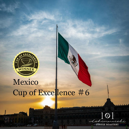 【Mexico】Cup of Excellence #6【100g】