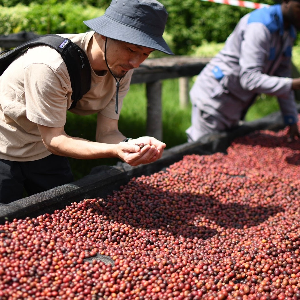 【Rwanda】Huye Mountain Coffee David Famiry Washed【200g】