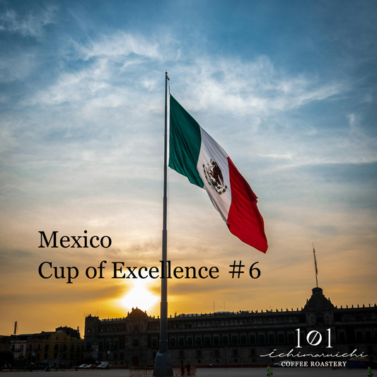 【Mexico】Cup of Excellence #6【100g】（2025年10月販売予定入荷待ち）