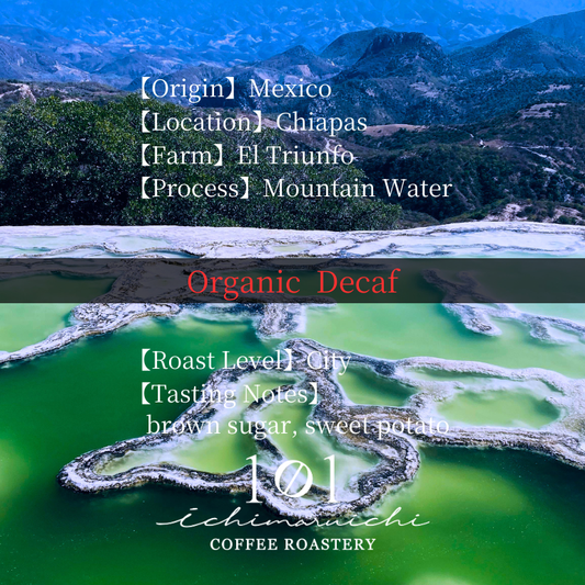 【Mexico】El Triunfo Decaf Mountain Water 【200g】