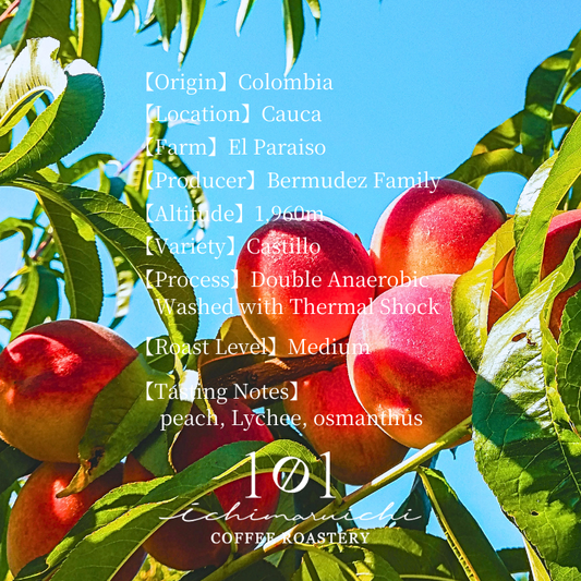 【Colombia】Cauca El Paraiso Double Anaerobic Washed / Peach【100g】