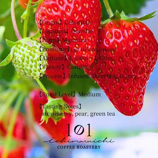 【Colombia】Quindio Mazatlan Infused Anaerobic Honey / strawberry【100g】