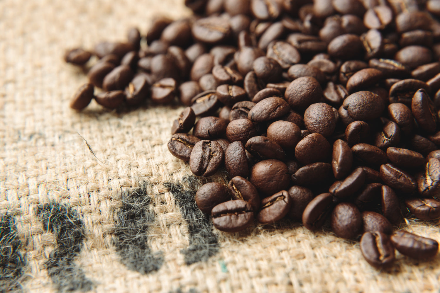 COFFEE ROASTERY101では、SCAが定めるスペシャルティコーヒーの基準と独自の品質基準をクリアした欠点豆の混入が極めて少ない最高品質のコーヒー豆のみを買い付けしています。さらに、コーヒー豆の品質ムラを防ぐため焙煎前後にハンドピッキングで欠点豆を除去し、鮮度の低下を極力抑えるためご注文いただいてから最適な焙煎度合いでコーヒー豆を焙煎しています。