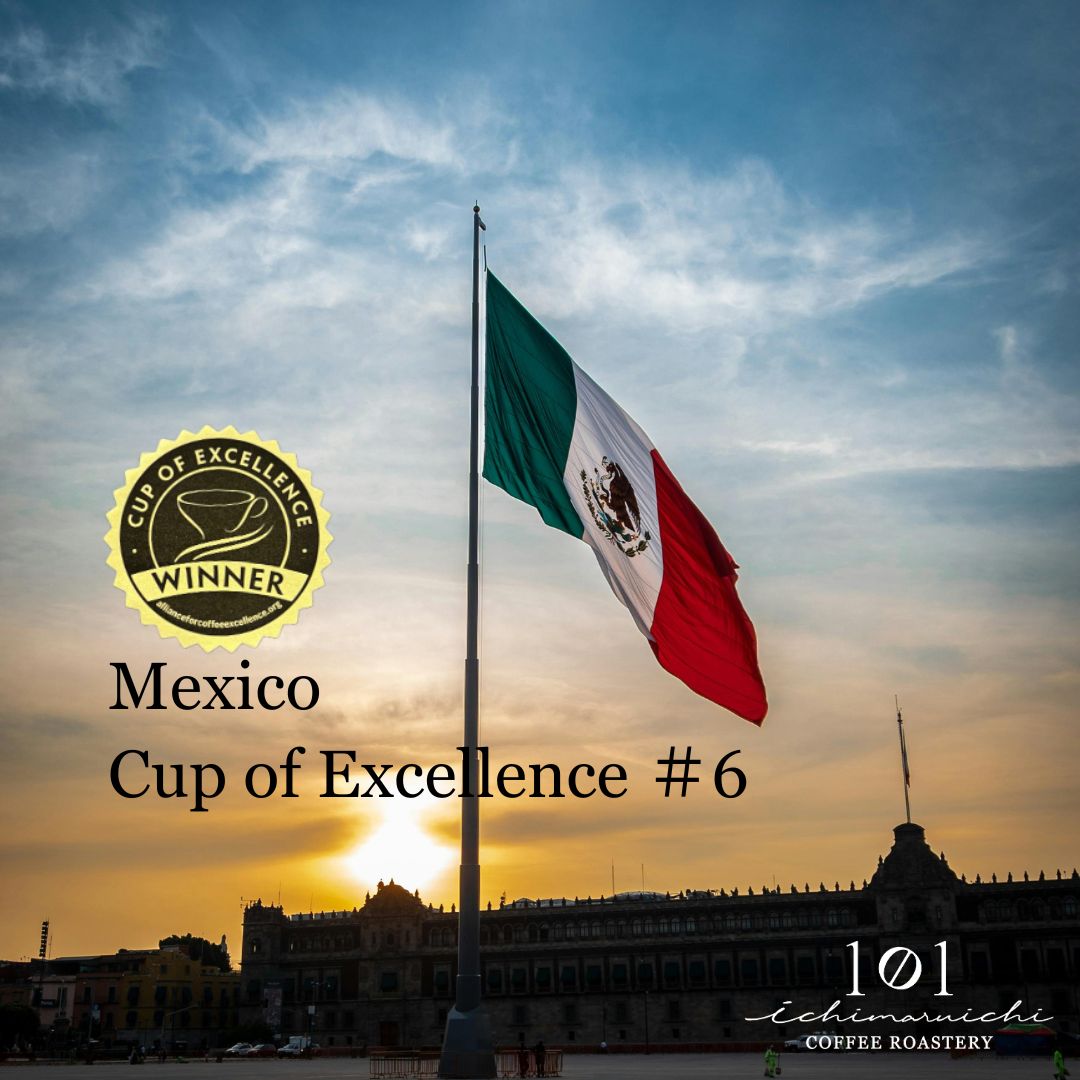 【Mexico】Cup of Excellence #6【100g】