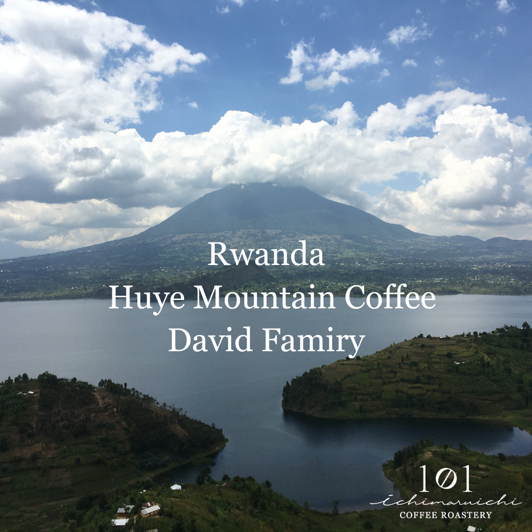 【Rwanda】Huye Mountain Coffee David Famiry Washed【200g】